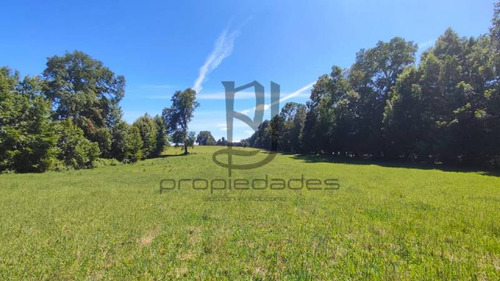 Imagen 25 de 25 de Venta De Parcela En Villarrica