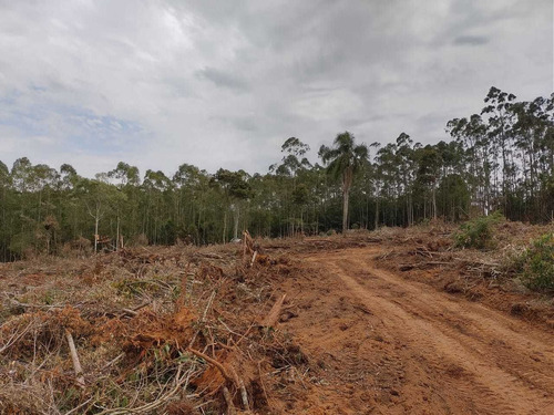 Imagem 13 de 14 de I20- Ibiúna Garden Lotes 500m2 Trga Sua Familia !!!!