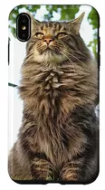 Comprar Funda Para iPhone XS Max Maine Coon Kitten-02