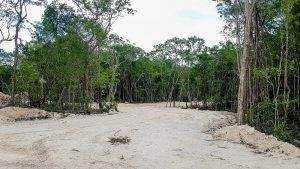 Imagen 2 de 16 de Proyecto De Lotes En Venta Tulum