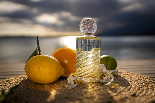 Perfume Rochas Citrus Chypre Woody, 100 Ml