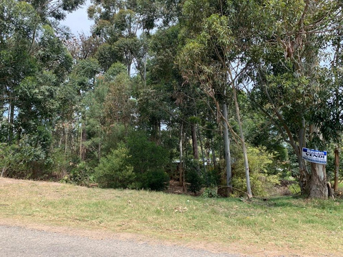 Vendo Dos Terrenos En Cuchilla Alta