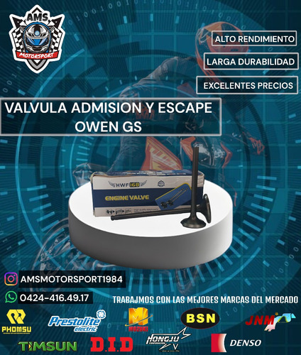 Valvula Admision Y Escape Owen Gs