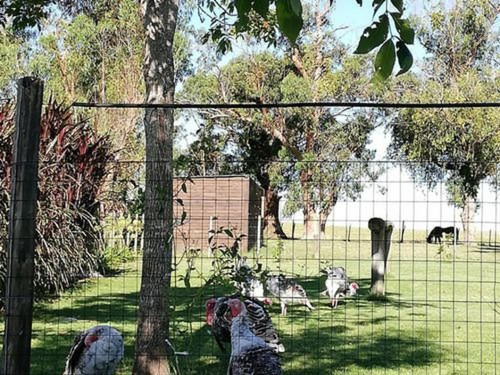 Campo En Venta En Rocha Ref. 7123