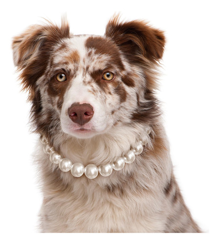 Kudes Collar De Perro Exquisito Y Ajustable: Elegante Collar
