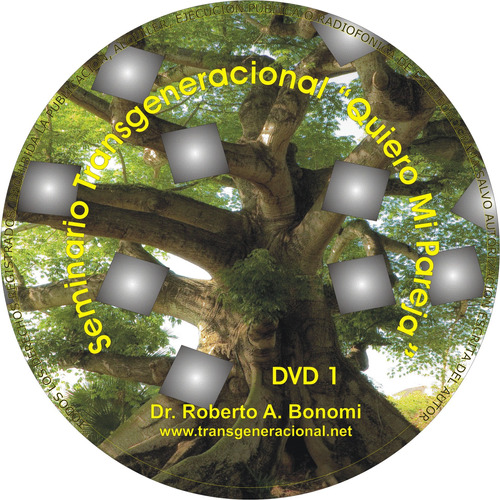 Seminario  Transgeneracional (3 Dvd)