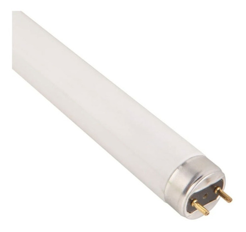 Tubo Fluorescente France T8 18w 3500 Kelvins 60cm Lumi