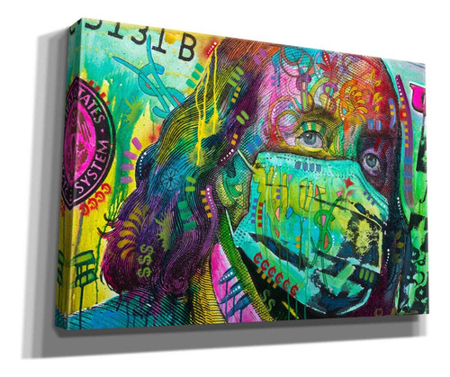 Cuadro Moderno En Tela Canvas Dólar Franklin Art 50x70 Cms 