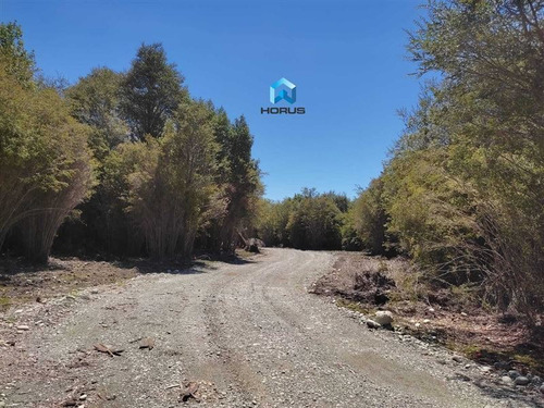 Imagen 17 de 24 de Sitio En Venta En Calbuco