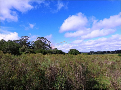 Chacra En Venta En Uruguay, Punta Del Este, Ruta 12, Las Vertientes- Ref: 21442
