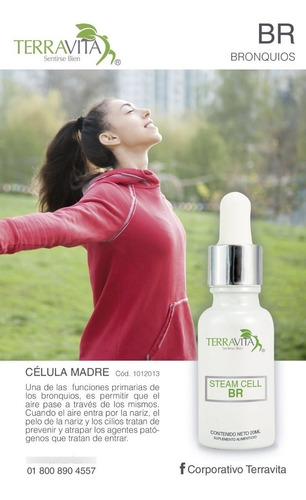 Célula Madre Br