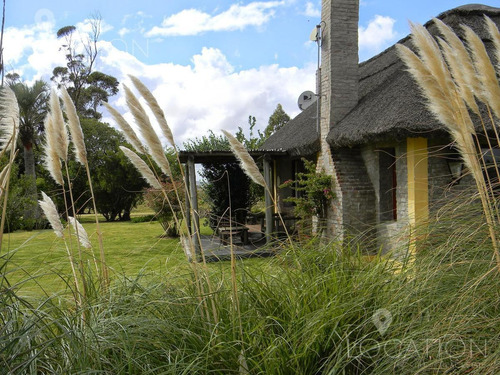 Campo - José Ignacio