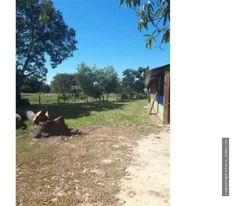Imagen 3 de 14 de Productiva Finca En Elorza Apure, Acepta Criptomoneda