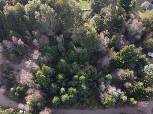Imagen 3 de 7 de Terreno Lote En Venta Ubicado En Laguna El Trébol, Bariloche, Patagonia
