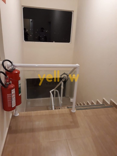 Imagem 11 de 16 de Apartamento - Parque Santa Tereza - Ap-2302
