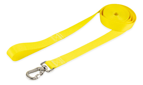 Coleira Guia 10 Metros Para Cães Cachorro Adestramento Passeio Tamanho P Porte Pequeno Basic Pet Amarelo