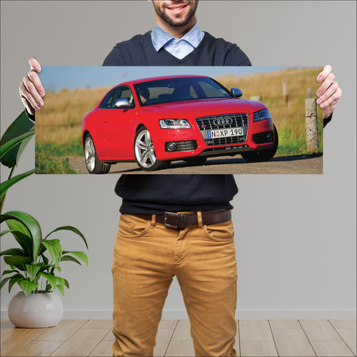 Cuadro 30x80cm Auto 2008 Audi S5 Coupe Au 87411 407