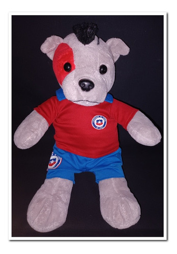 Peluche Selección Chilena Rogelio 40x25 Cms. Aprox. (Usado)