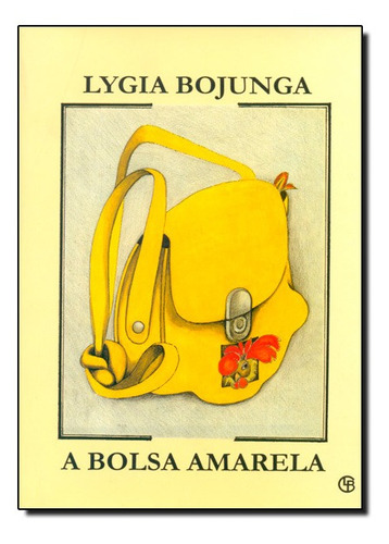 Livro Bolsa Amarela, A