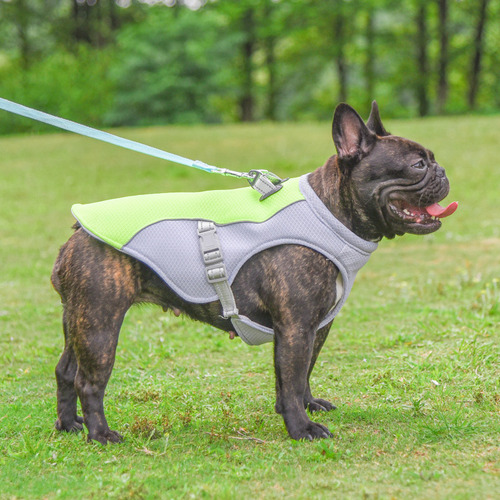 Chaleco Refrescante De Verano Para Mascotas, Color Verde, 2x