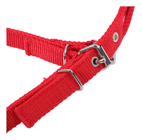 Cabezal Ecuestre Pequeño Y Ajustable Para Caballos, Rojo Y R