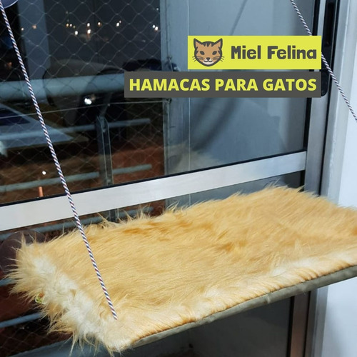 Imagen 2 de 3 de Camas Para Gatos, Hamacas De Ventana Para Gatos Miel Felina