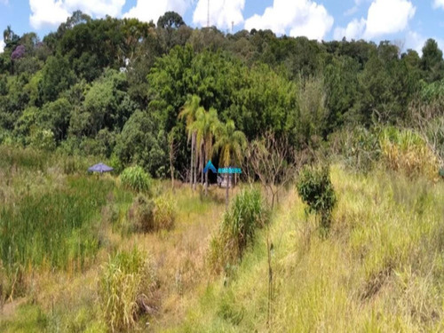 Imagem 7 de 8 de Sitio Com 12500 M Para Venda Localizado Em Campo Limpo Paulista - 1981