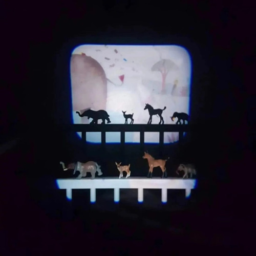 Caixa De Cinema - Animais - Moulin Roty