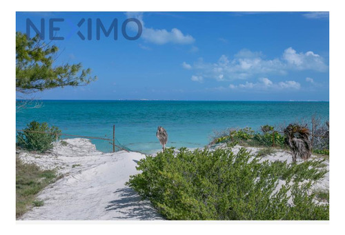 Imagen 18 de 20 de Terreno En Venta En Isla Blanca