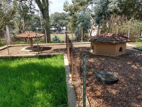 Gran Oportunidad! Terreno Con Construcciones Diversas