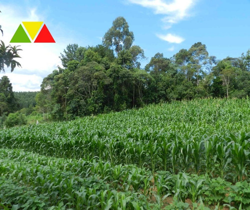 Imagem 21 de 25 de Chacara - Ch00139 - 69025039
