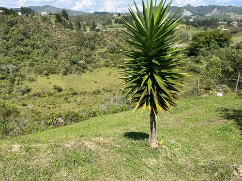 Hermosa Propiedad Campestre En San Vicente Ferrer