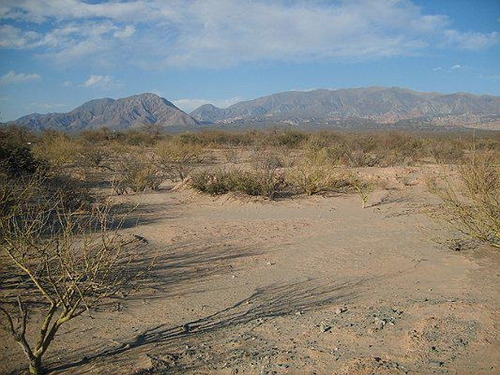 Imagen 9 de 10 de Campo Apto Para Viñedo En Venta - Tolombón, Salta