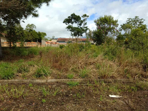 Lotes 250m Na Praia! Em Peruíbe Entradas A Partir De R$6.900
