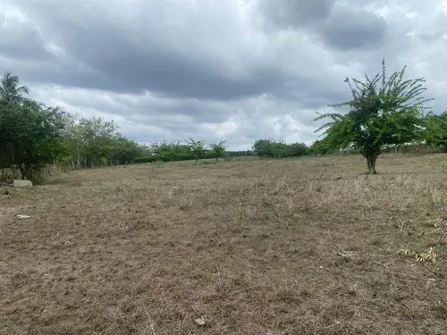 Finca Para Proyecto