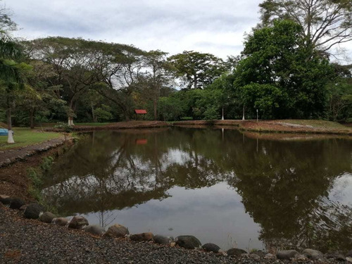 Imagen 2 de 14 de Lotes P/quintas Desde ¢24.5 Millones, 5.000 M2, San Mateo