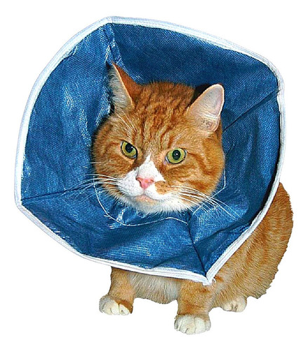 Imagem 3 de 5 de Colar Elizabetano P/ Gato Kruuse Buster Soft