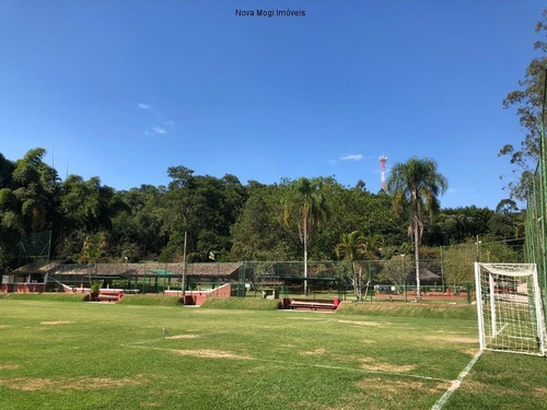 Imagem 13 de 17 de Terreno - Te00004 - 33659730