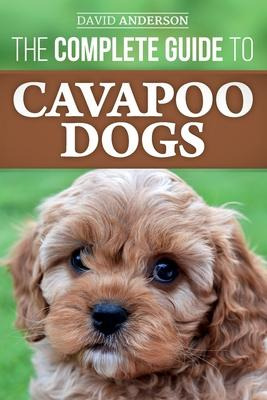 Libro The Complete Guide To Cavapoo Dogs : Everything You...
