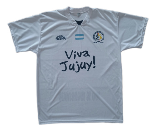 Camiseta Altos Hornos Zapla Jujuy Eneve (Usado)