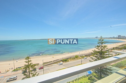 Imagen 8 de 30 de Apartamento En Venta 3 Dormitorios