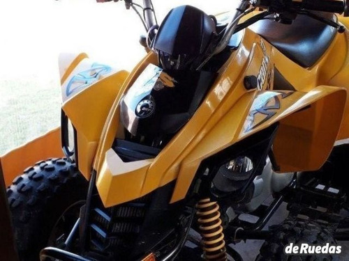 Can Am 250cc Ds