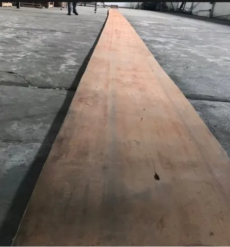 Lona Transportadora