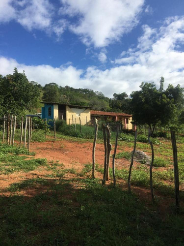 Imagem 18 de 21 de Excelente Fazenda 3,5 Hec, Lazer, Qualidade De Vida Pra Você Em Vitória, Aceito Imóvel/carro - Fz12861v