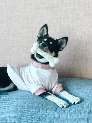 Imagen 3 de 4 de Camiseta Rosada Para Mascotas M