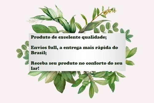Imagem 4 de 4 de Planta Arvore Artificial Coqueiro Imperial Toque Real