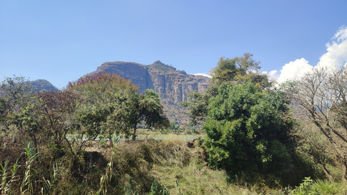 Venta De Terrenos En Tlayacapan, Morelos Todo O En Lotes