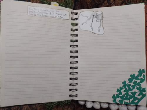 Cuaderno Duende, Anotador, Artesania