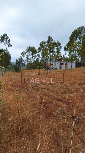 Casa En Venta De 1 Dorm 1 Baño, Topocalma, Puertecillo