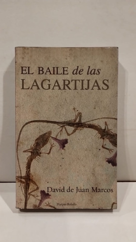 El Baile De Las Lagartijas - Davis De Juan Marcos - Harper